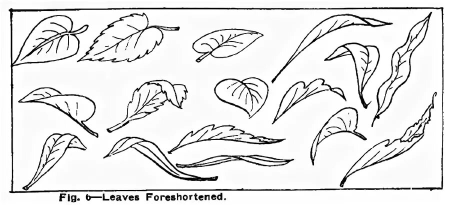 Рисунок на согнутом листе. Объемные рисунки. Рисунок на согнутом листе. «волшебные ладошки». Изогнутые листья.