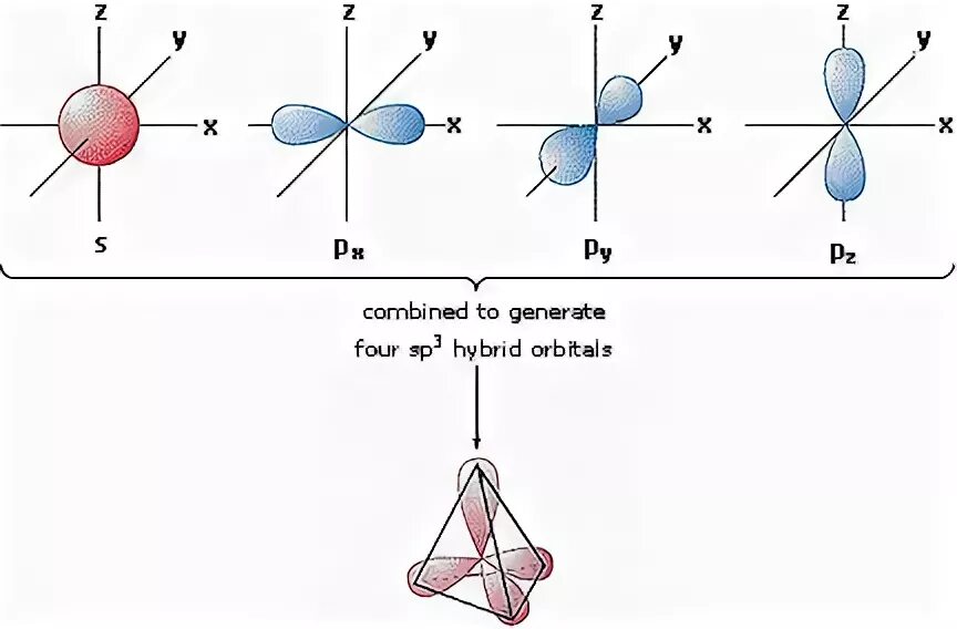 Пространственная структура молекул. Sp2 гибридизация алкенов. Структура молекулы этилового спирта. Электронное и пространственное строение молекулы метана. Алканы пространственное строение структура.