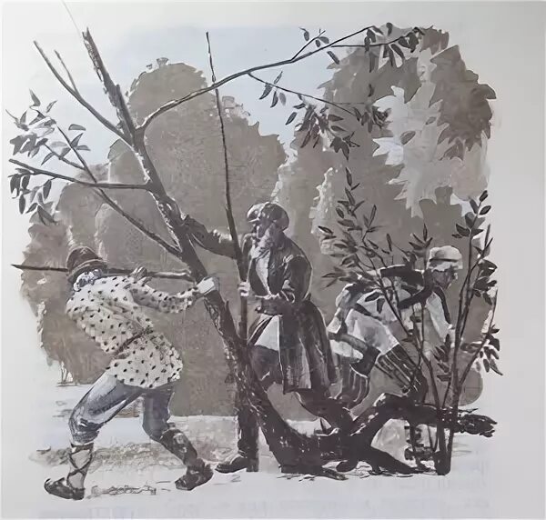 деревья дышат иллюстрации толстой иллюстрации. л. дерево толстой читать. дерево с книгами. спор деревьев ушинский.