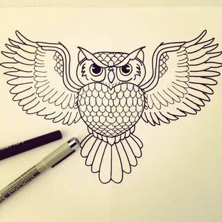 Owl Drawing Step by Step (3 ways)! - The Graphics Fairy