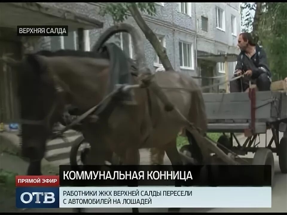 Жкх верхняя салда. Жкх верхняя салда. Ук территория екатеринбург. Директор ниимаш нижняя салда. Ктнныцй двор верхняя салда.