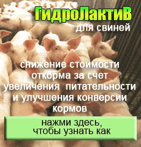 Какой откорм лучше травяной или зерновой