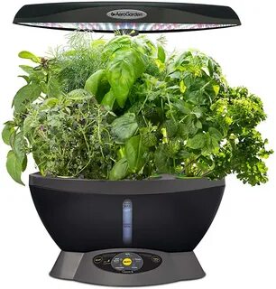 Easy plants