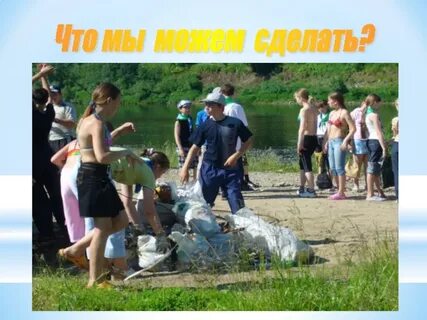 Экскурсия в лес презентация