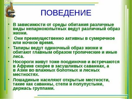 Характеристика непарнокопытных