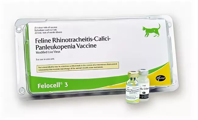 Фелоцел отзывы. Фелоцел cvr. фелоцел вакцина для кошек. фелоцел вакцина производитель. фелоцел cvr, вакцина для кошек.