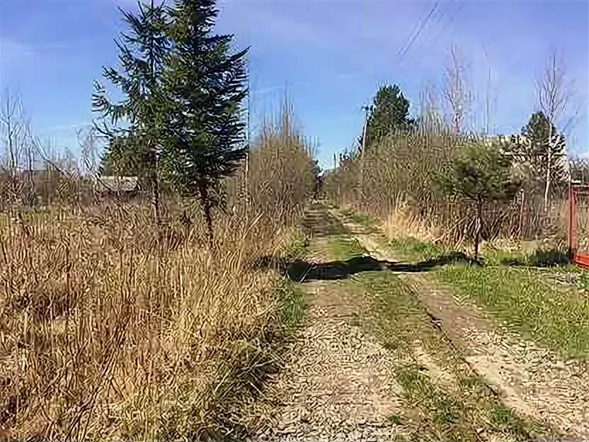 Трубников бор озеро. Массив трубников бор садоводство здоровье. Трубников бор озеро. Карта массива трубников бор. Трубников бор.