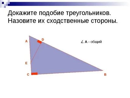 Сходственные стороны подобных треугольников это