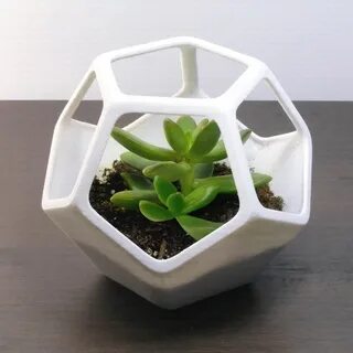 Plant 3 forms