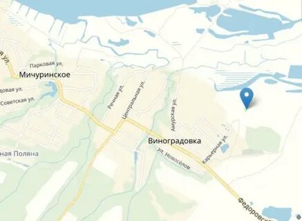 Село виноградовка амурская область