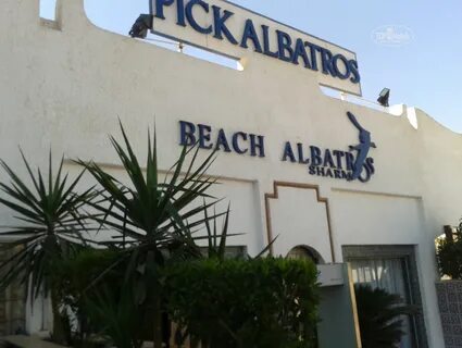 Albatros sharm ex beach отзывы