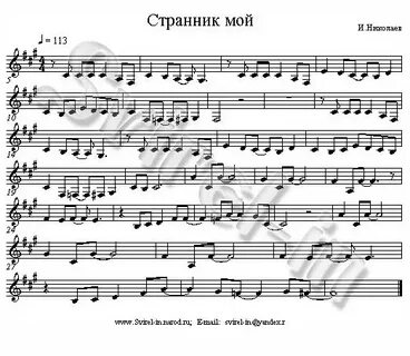 Странник мой