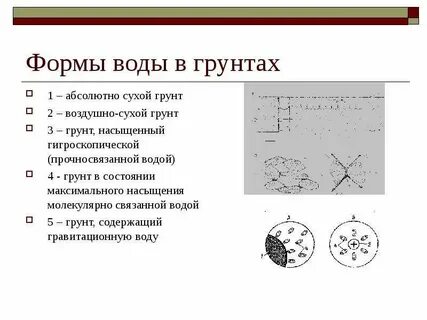 Абсолютно сухой