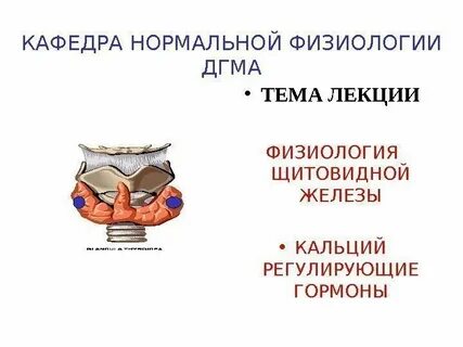Лекции по физиологии
