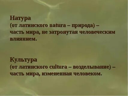 Значение слова натура