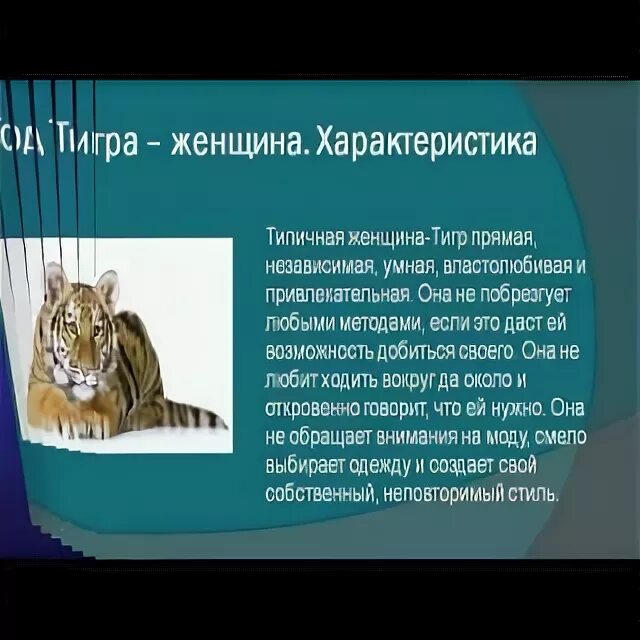 Год тигра характеристика женщина. Рождённые в год тигра. Год тигра гороскоп. Характер родившихся в год тигра.