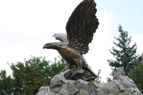 Кмв ессентуки