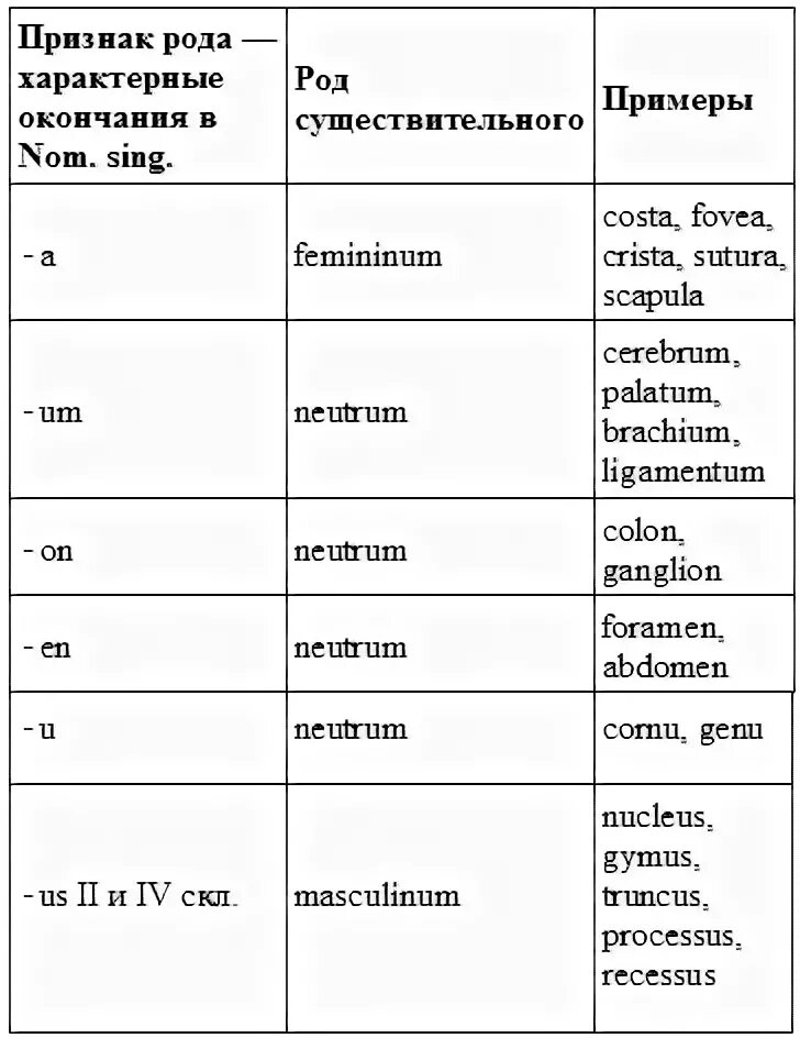 Латинские окончания слов. Роды существительных в латинском языке. Род в латинском языке таблица. Определение рода имен существительных в латинском языке. Как определить род в латинском языке у существительных.