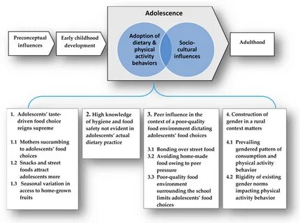 Figure 1.Thematic map illustrating the emergent themes from the analysis of...