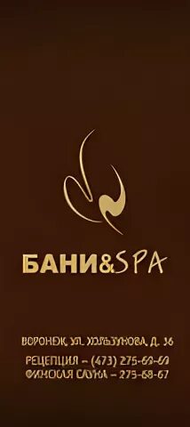 Банный комплекс на хользунова воронеж. Сауна спа логотип. Баня на хользунова в воронеже. Баня spa воронеж хользунова. Спа на хользунова воронеж.