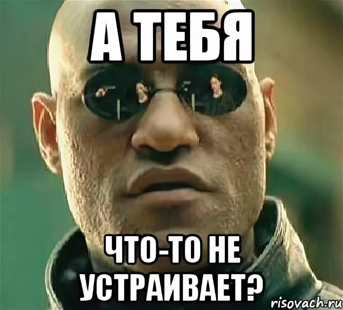 Тебя что то не устраивает. Устраивает Мем. Мем что то не устраивает. Мем а тебя что-то не устраивает