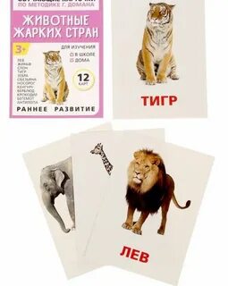 Карточки г