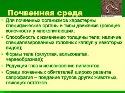 Для всех организмов характерно