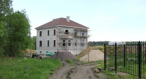 Мо сосновая поляна