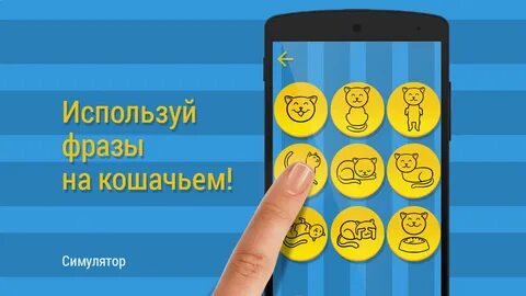 Переводчик кошачьего без скачивания