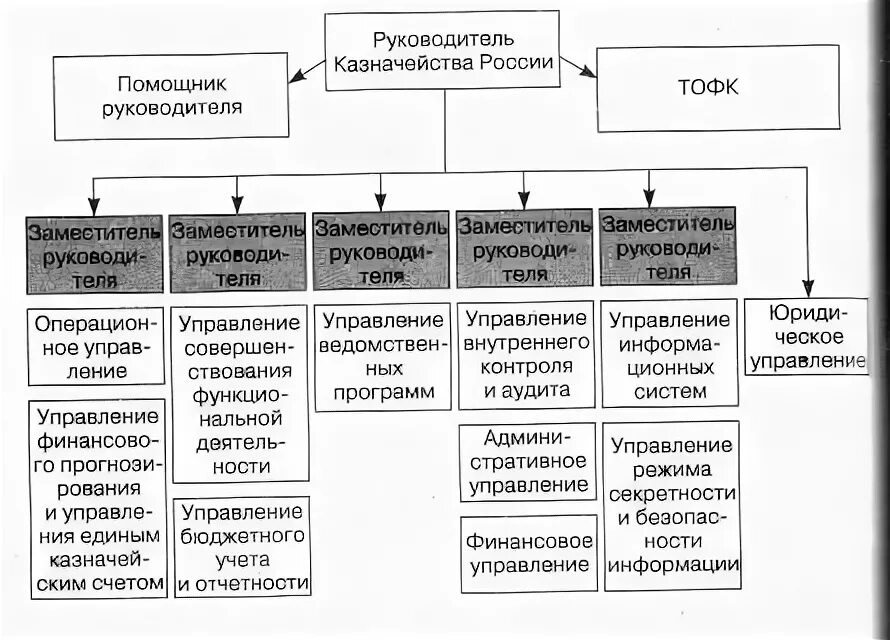 Структура казначейства РФ схема. Организационная структура казначейства РФ. Фед казначейство это орган структура. Структура органов федерального казначейства.