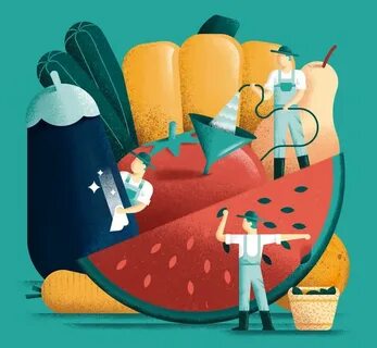 Новичок иллюстратор