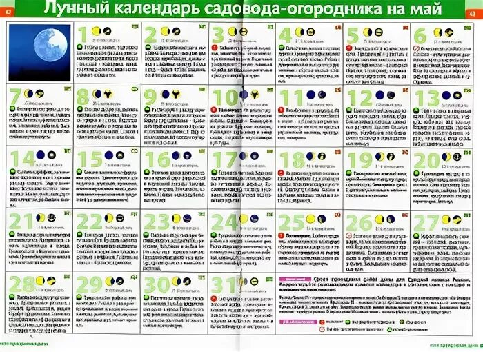 Плодородные знаки зодиака по лунному календарю 2024. Календарь посадки плодовых деревьев. Лунные дни май. По лунному календарю день земли. Благоприятные знаки для посадки рассады.