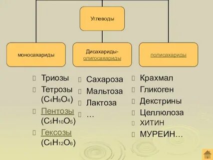 Мальтоза это моносахарид или полисахарид