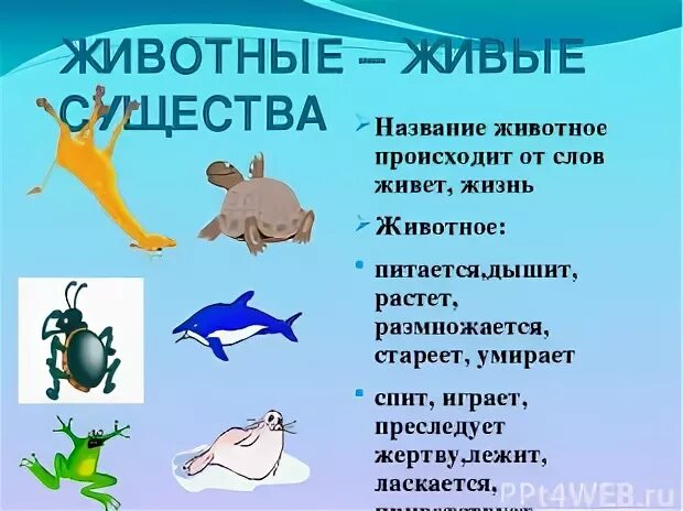 Живым существом называется