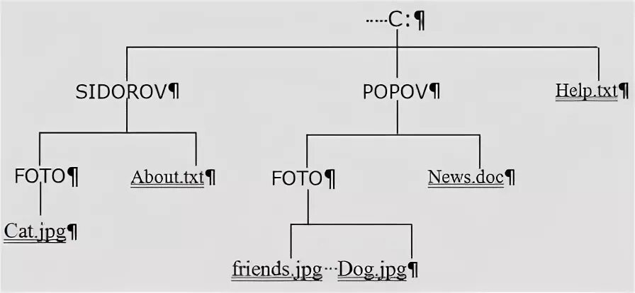 Имя файла README. Txt. Путь к файлу задание 7 класс.