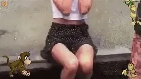 Обезьяна за веревку дернула
