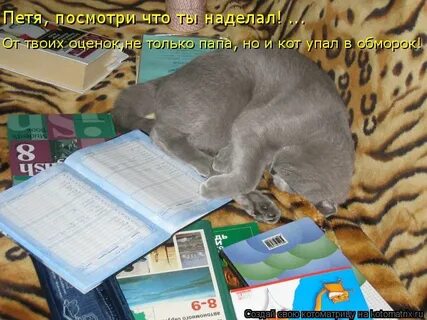 Это ты что наделала