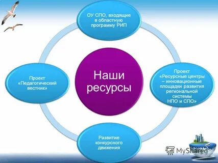 Образовательных учреждений спо