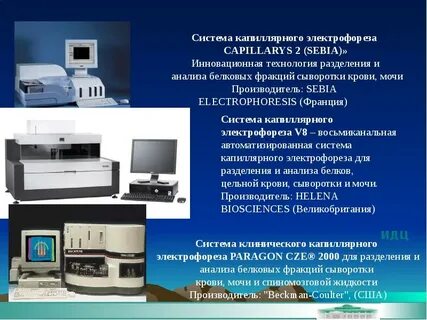 Капиллярный электрофорез