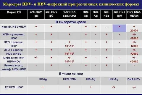 Копий мл