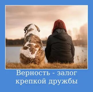 Преданность в дружбе