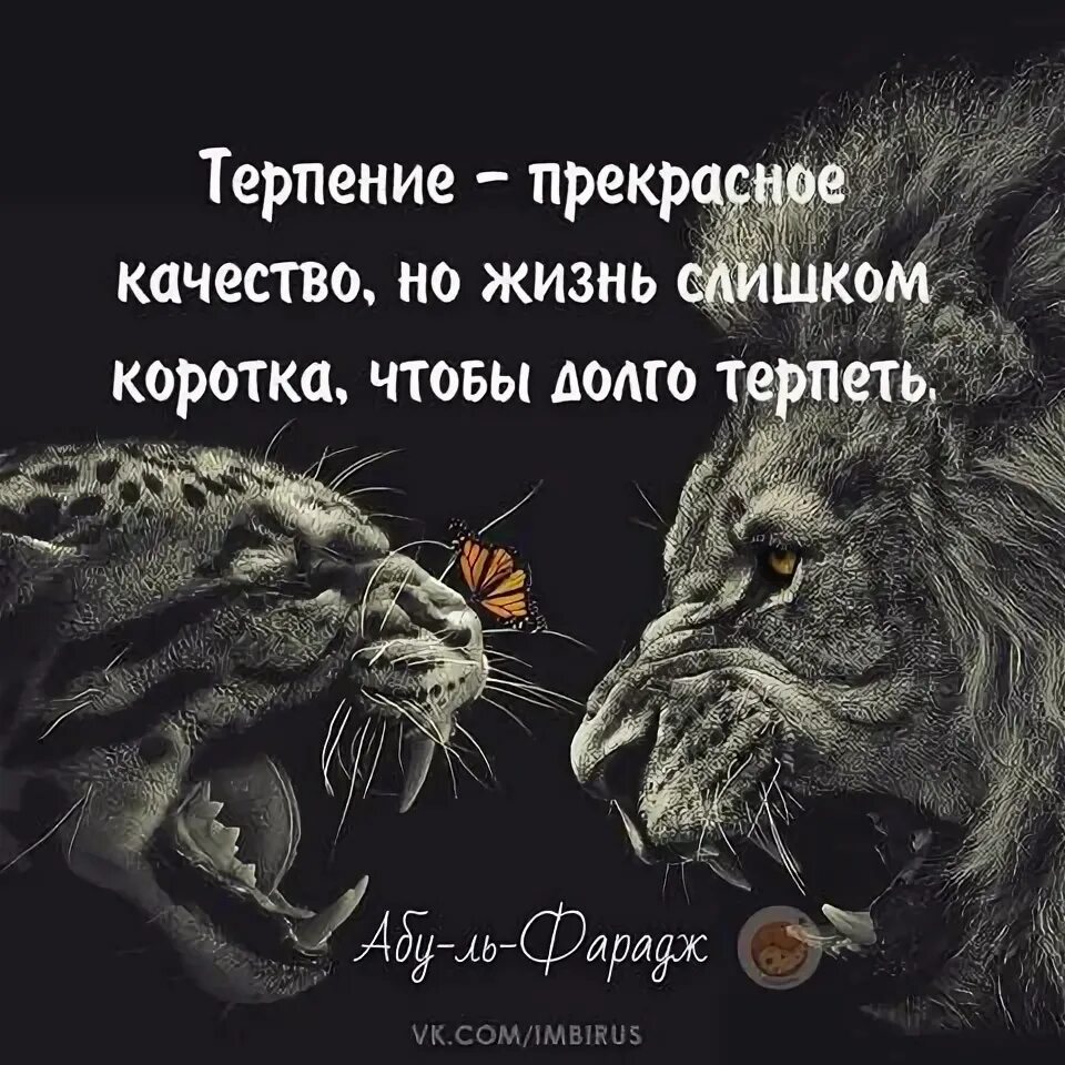 жизнь слишком коротка чтобы терпеть. терпение хорошее качество.