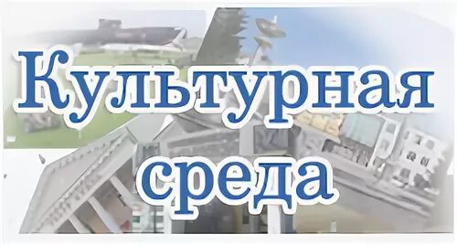 Проект культурная среда