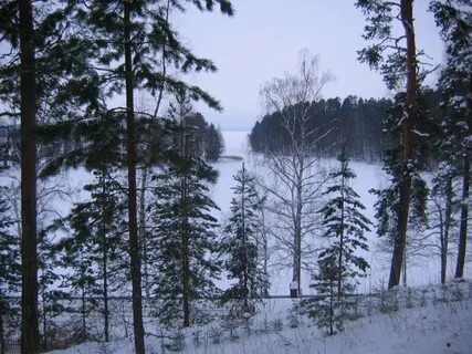 Климат 2014