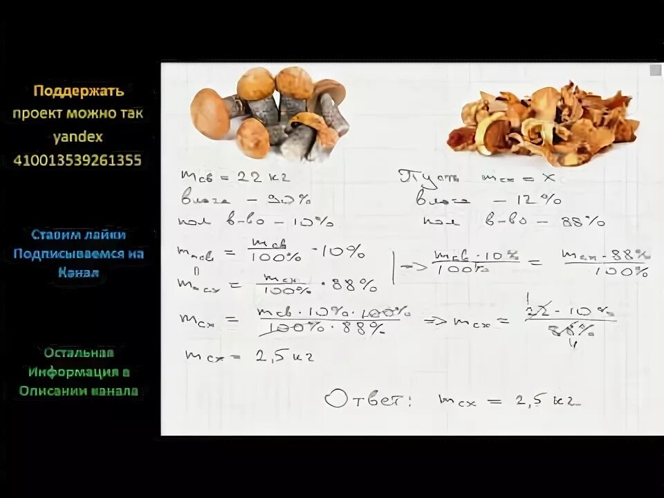 Сколько воды в сушеных грибах. Килограмм сушеных грибов. Соотношение свежих грибов к сушеным. Задача на сухие и свежие фрукты. Пропорция сушеных белых грибов.