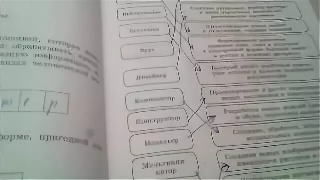 Информатика 5 класс 135. Систематизируйте приведенные сведения Информатика 5. Систематизируйте приведенные сведения Информатика 5 класс. Систематизируйте приведенные сведения разделив их по тем предметам. Систематизируйте приведенные сведения.