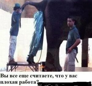 плохая работа форум
