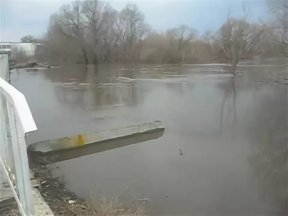 Река Ольшанка Саратовская область. Ртищево река Ольшанка. Село большая Ольшанка Калининского района. Большая Ольшанка Саратовская область Калининский район.