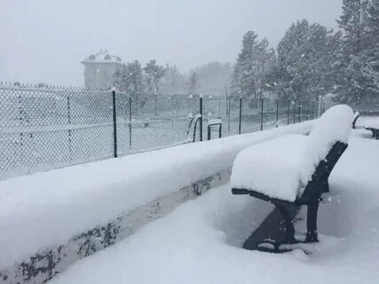 8 см снега