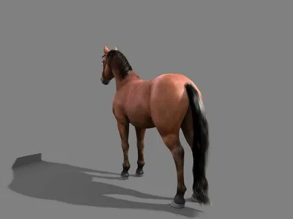 3d horse